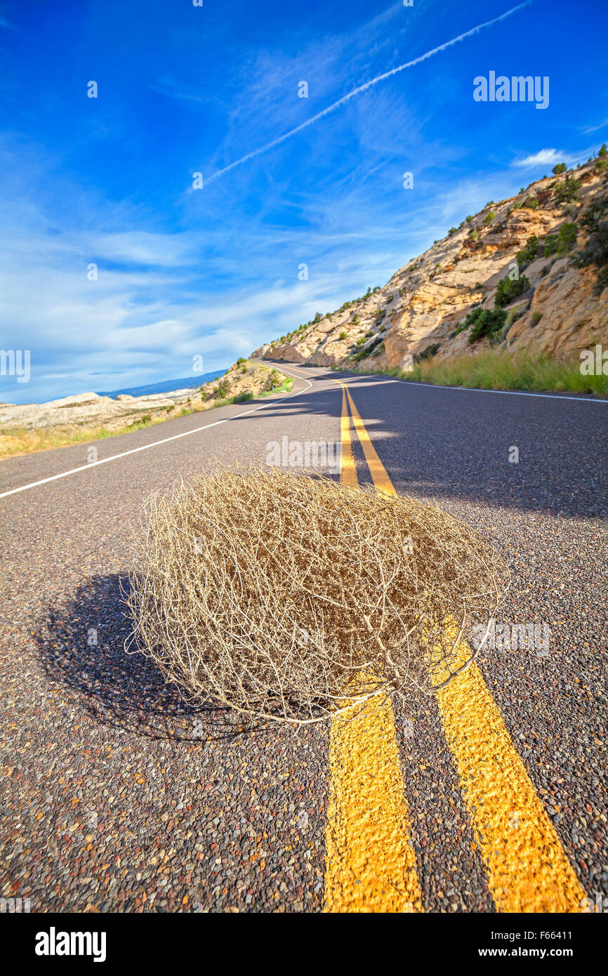 Tumbleweed auf einer leeren Straße, Reise-Konzept-Bild, geringe Schärfentiefe, USA. Stockfoto