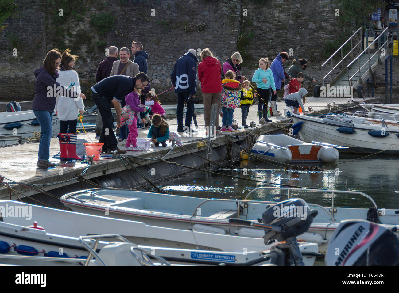 Familien, die Krabben auf dem Steg, Fluss Dart in Dittisham in South Hams, Devon Stockfoto