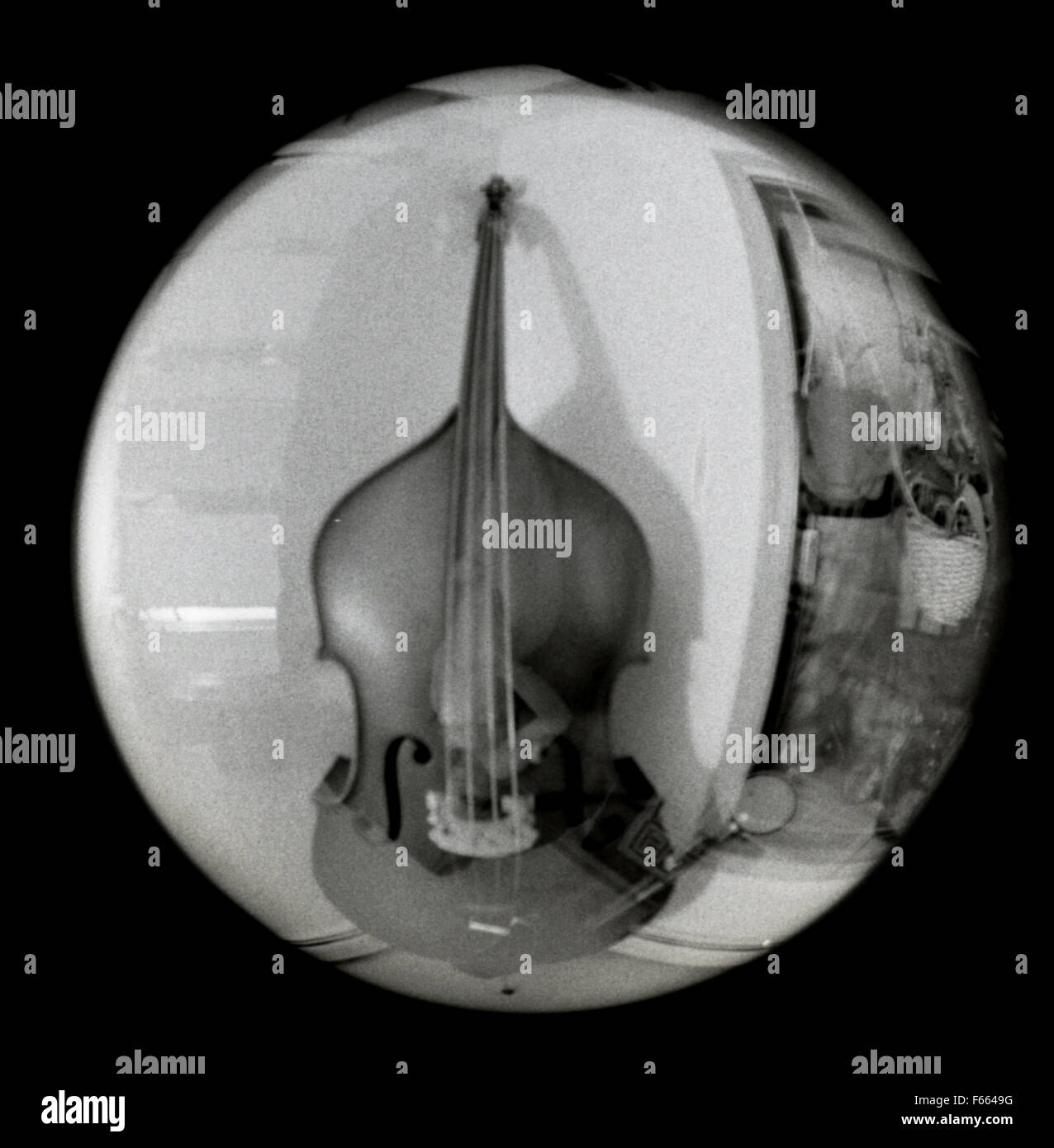 Fisheye-Linse Schwarz-Weiß-Fotografie eines Cellos mit einer Aktfigur, die im Instrument doppelt belichtet ist. Stockfoto