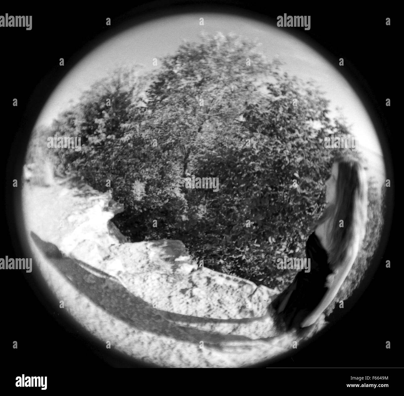 Fischaugen-objektiv Schwarz-Weiß-Fotografie aus einer Abbildung auf einer Klippe mit Bäumen im Hintergrund, abstrakt. Stockfoto