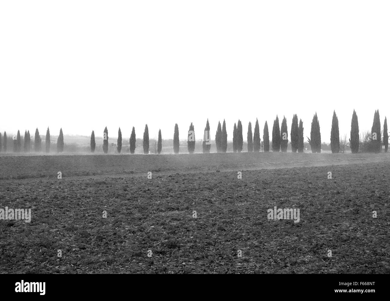 Neblig Toskana in schwarz / weiß Stockfoto
