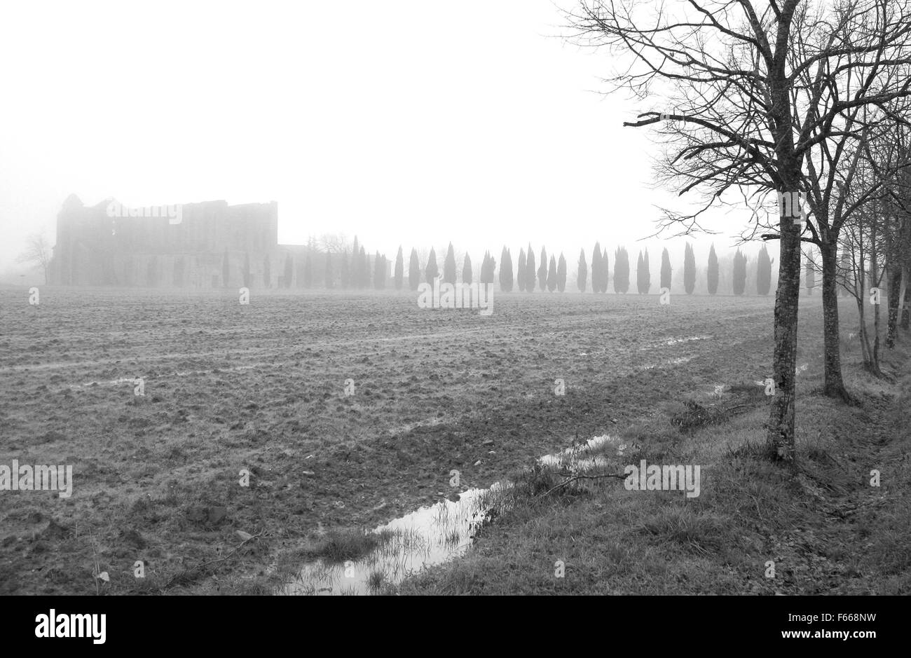 Neblig Toskana in schwarz / weiß Stockfoto