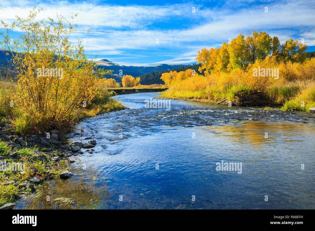 Farben des Herbstes entlang dem Blackfoot Flüsschen in der Nähe von Avon, montana Stockfoto