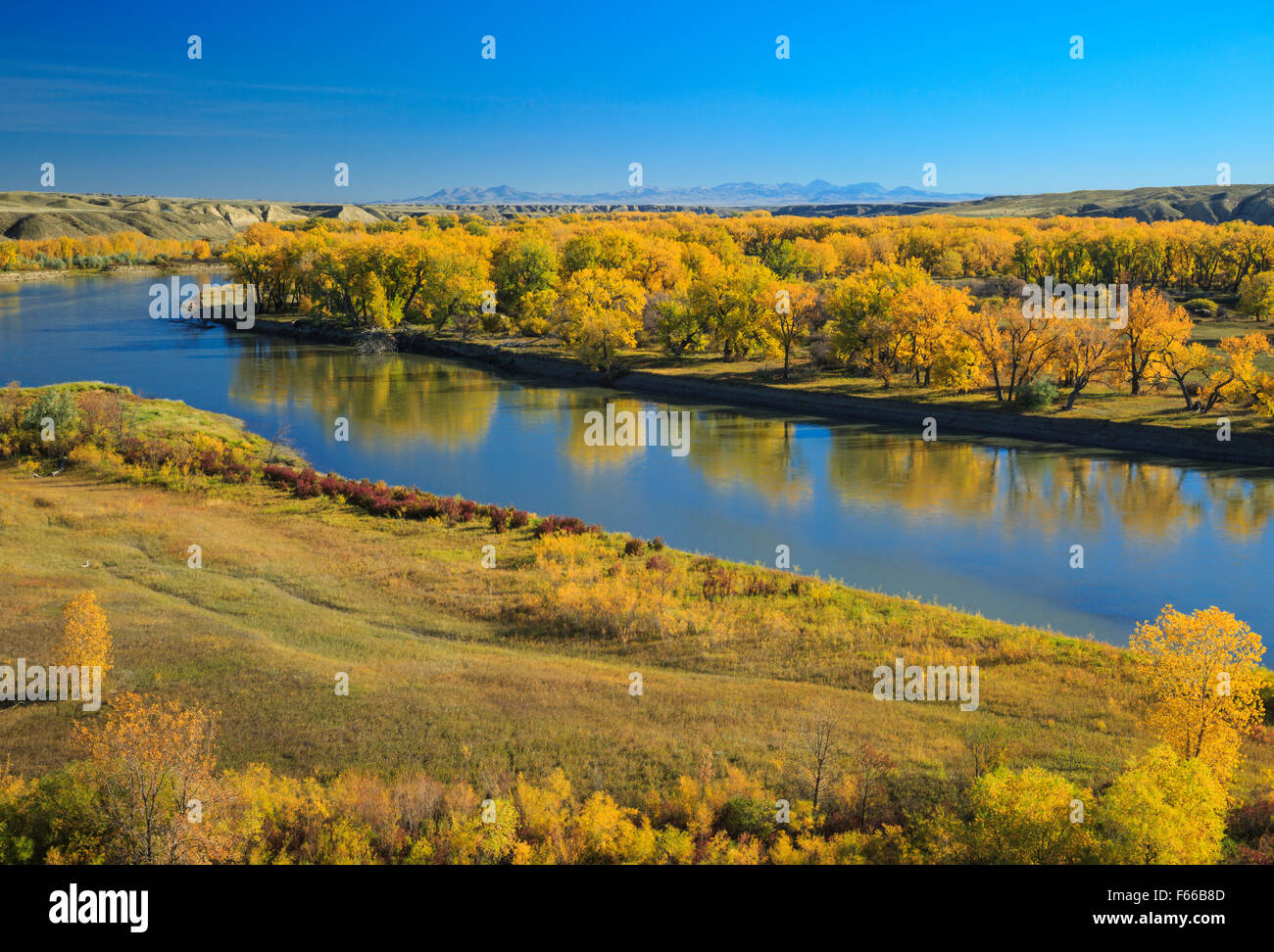 Farben des Herbstes entlang des Missouri River in der Nähe von Loma, Montana, mit der Bearpaw-Berge in der Ferne Stockfoto