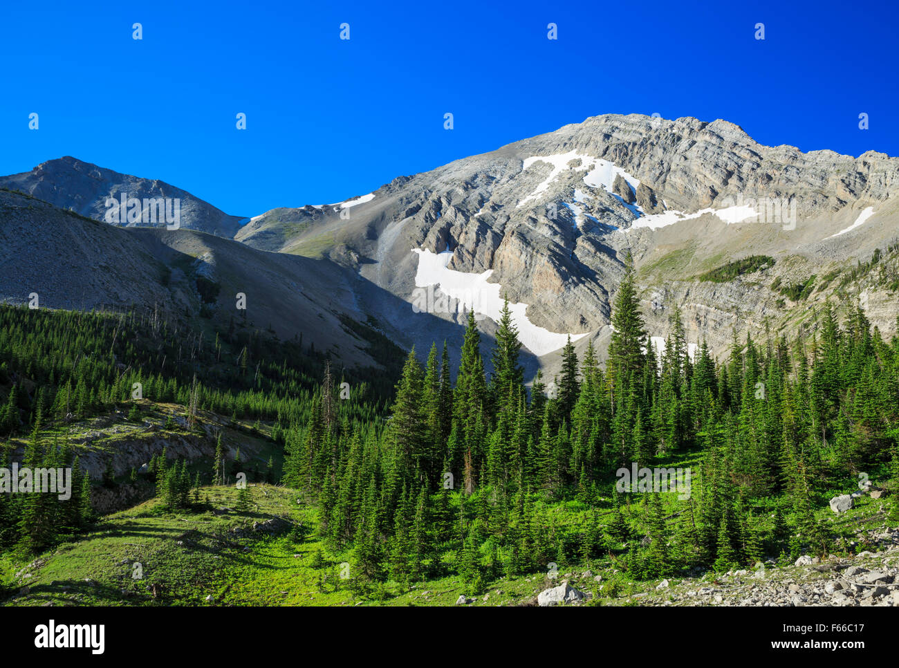 felsige Berggipfel in der Nähe zentrale Creek Pass in Lewis und Clark National Forest in der Nähe von Choteau, montana Stockfoto