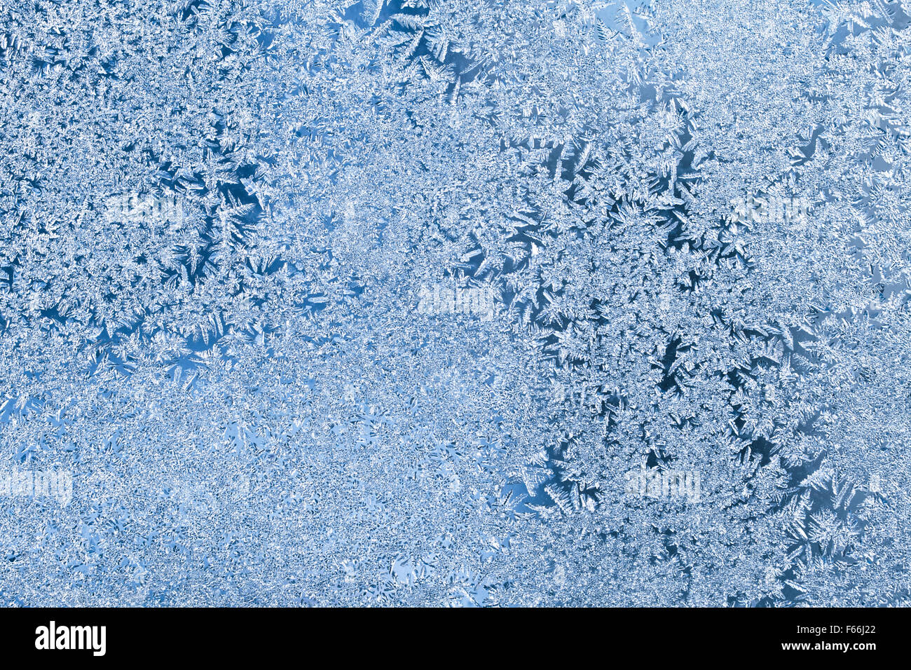 Frostigen Winter blau Hintergrund Stockfoto