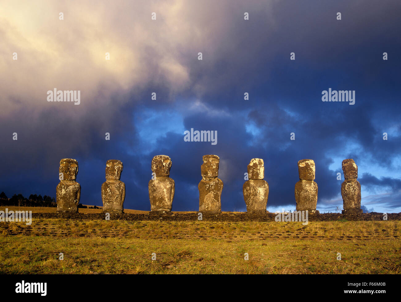 Osterinsel, Statuen des Ahu Akivi, die sieben Moai Stockfoto