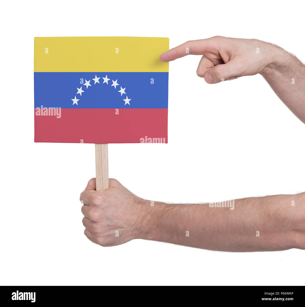 Hand, die kleine Karte, isoliert auf weiss - Flagge Venezuelas Stockfoto