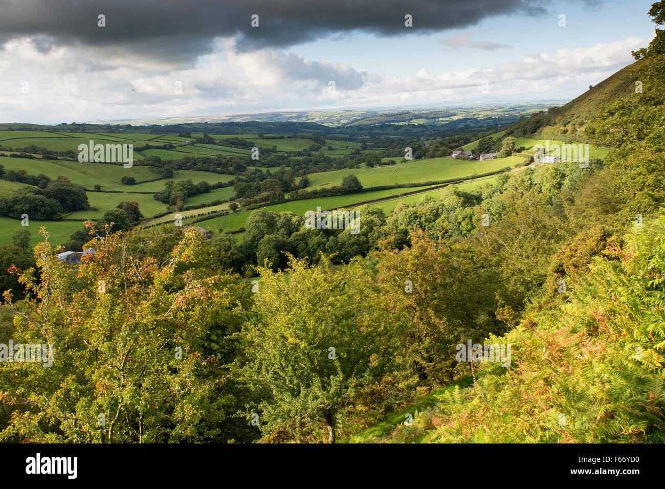 Walisische Landschaft im Frühherbst auf die A483 nahe Newtown, Powys, Wales, UK Stockfoto