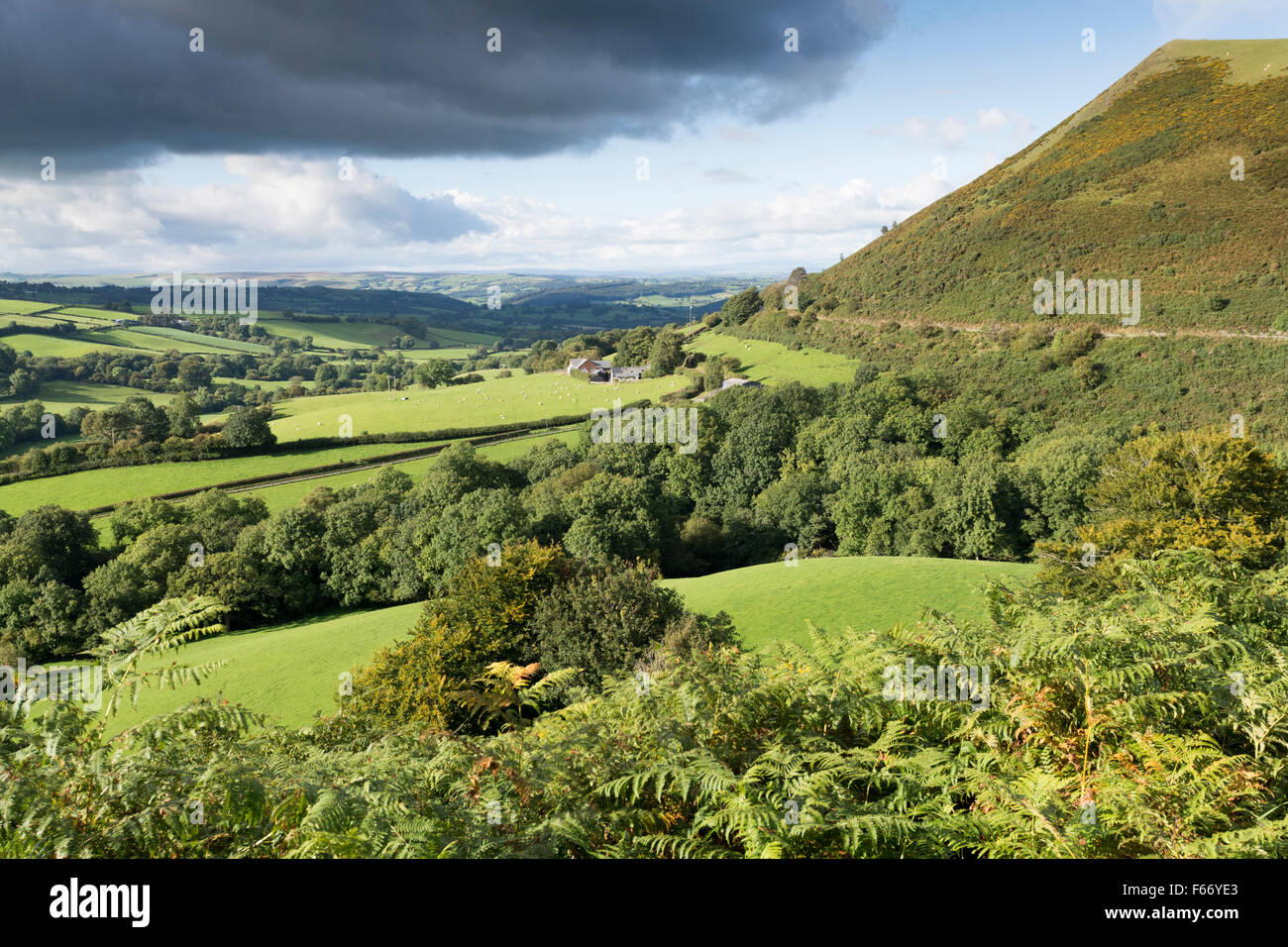 Walisische Landschaft im Frühherbst auf die A483 nahe Newtown, Powys, Wales, UK Stockfoto