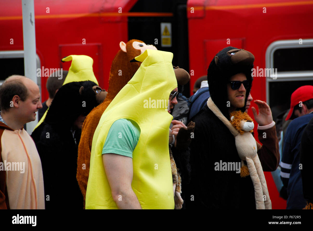 Rugby-Fans, Sport, Kostüm, London; UK Stockfoto