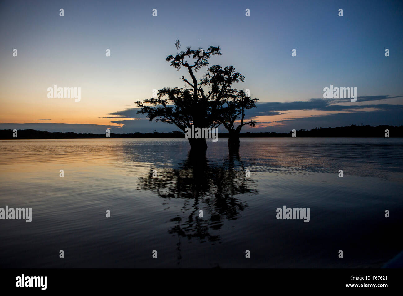 Cuyabeno geschützten Waldreservat, Amazonien, Ecuador. Sonnenuntergang auf einer Lagune am Rio Aguarico Stockfoto