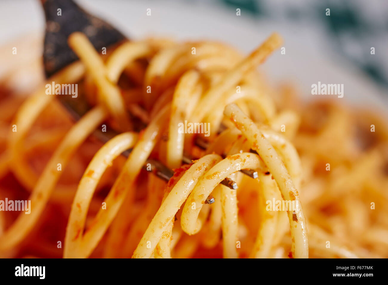 Forkfull Spaghetti mit Tomatensauce Stockfoto