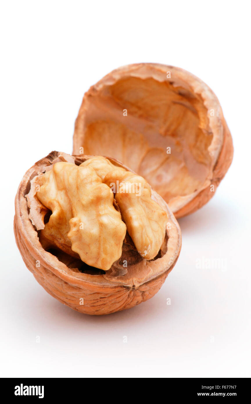 Juglans (kalifornische Walnuss). Nahaufnahme der Mutter. Stockfoto