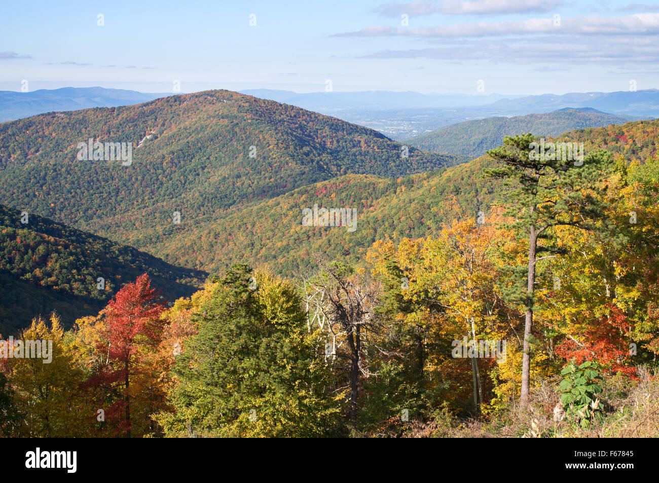 Herbstlaub Farben Skyline Drive, Shenandoah-Nationalpark, Virginia, USA Stockfoto