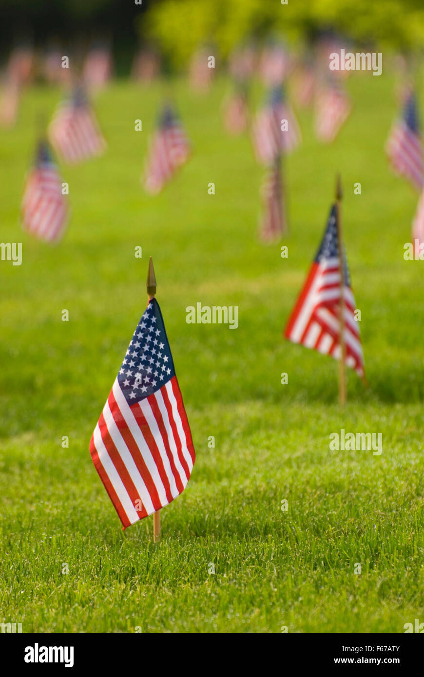 Memorial Day Flaggen auf Gräbern, Willamette National Cemetery, Portland, Oregon Stockfoto