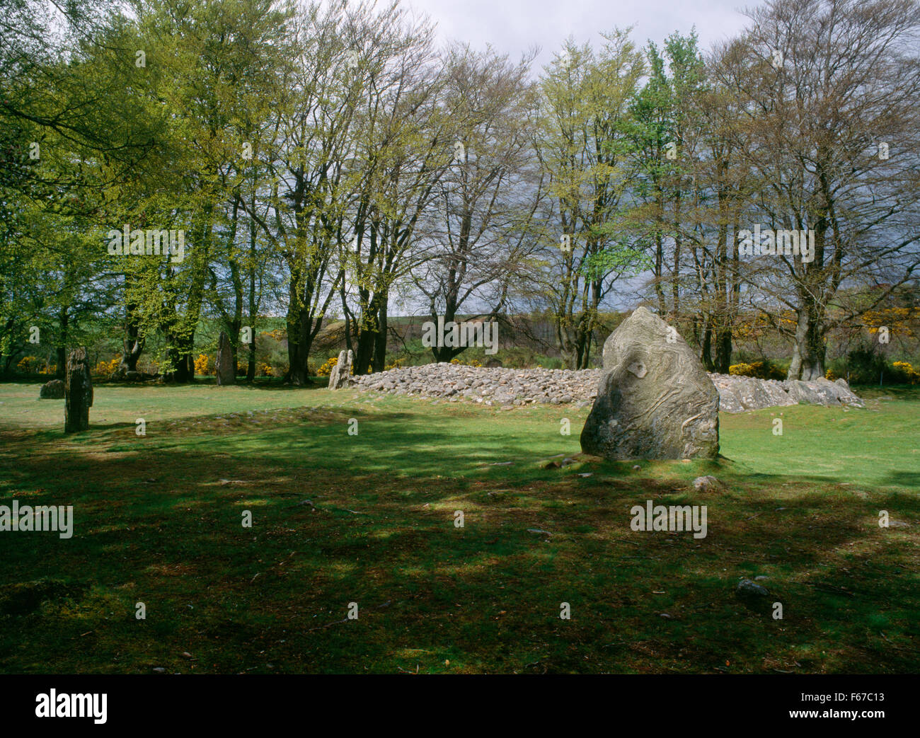 Aussehende NW am Schloten Ring Cairn, Inverness, umgeben von neun Menhire, vier davon mit der Cairn von Ray-ähnliche irdenen Banken verbunden. Stockfoto