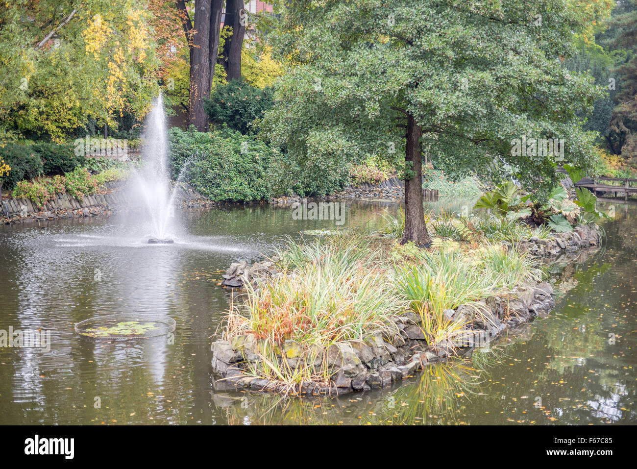 Botanische Gärten in Herbstfarben Wroclaw Stockfoto