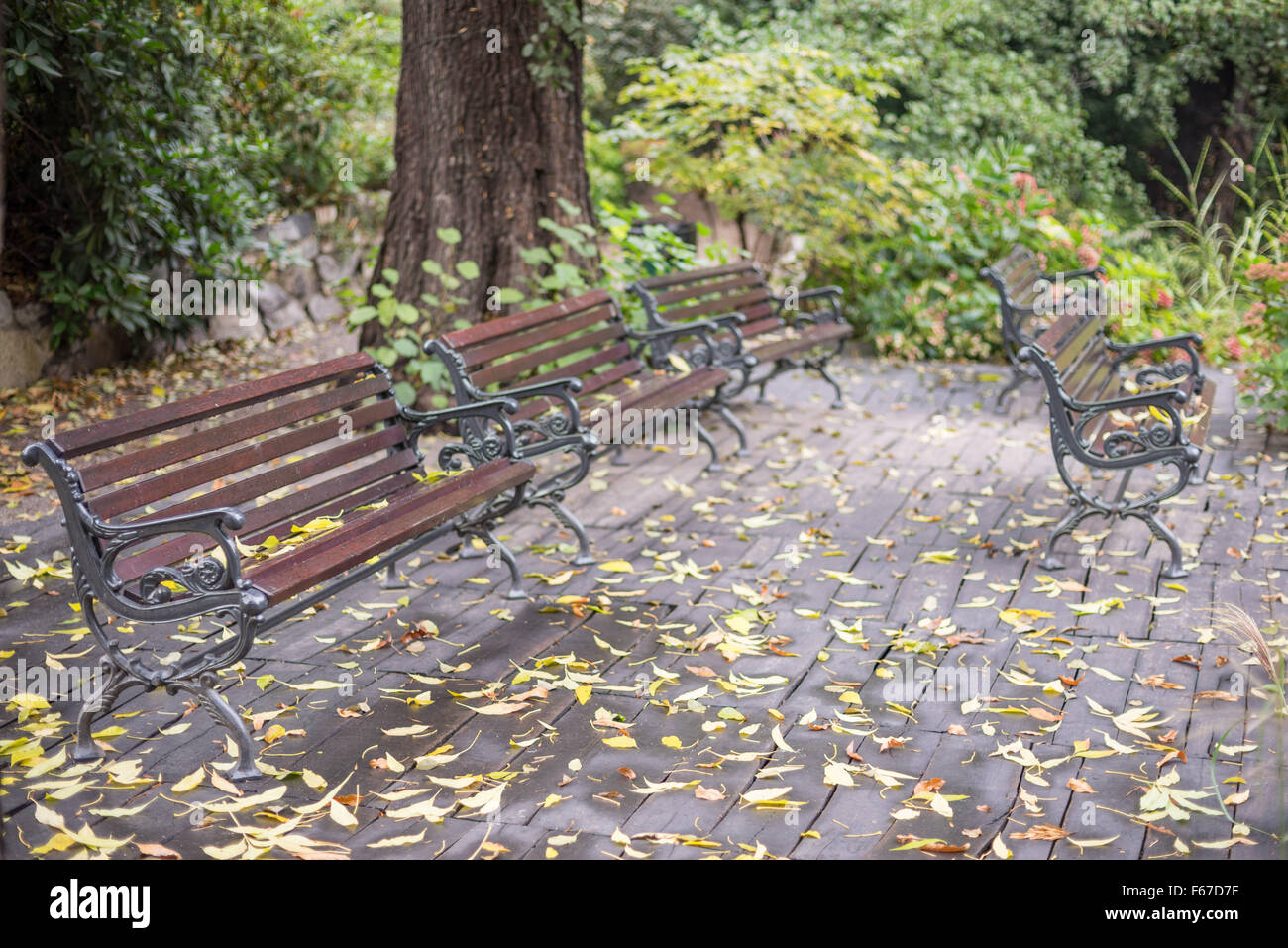 Botanische Gärten in Herbstfarben Wroclaw Stockfoto