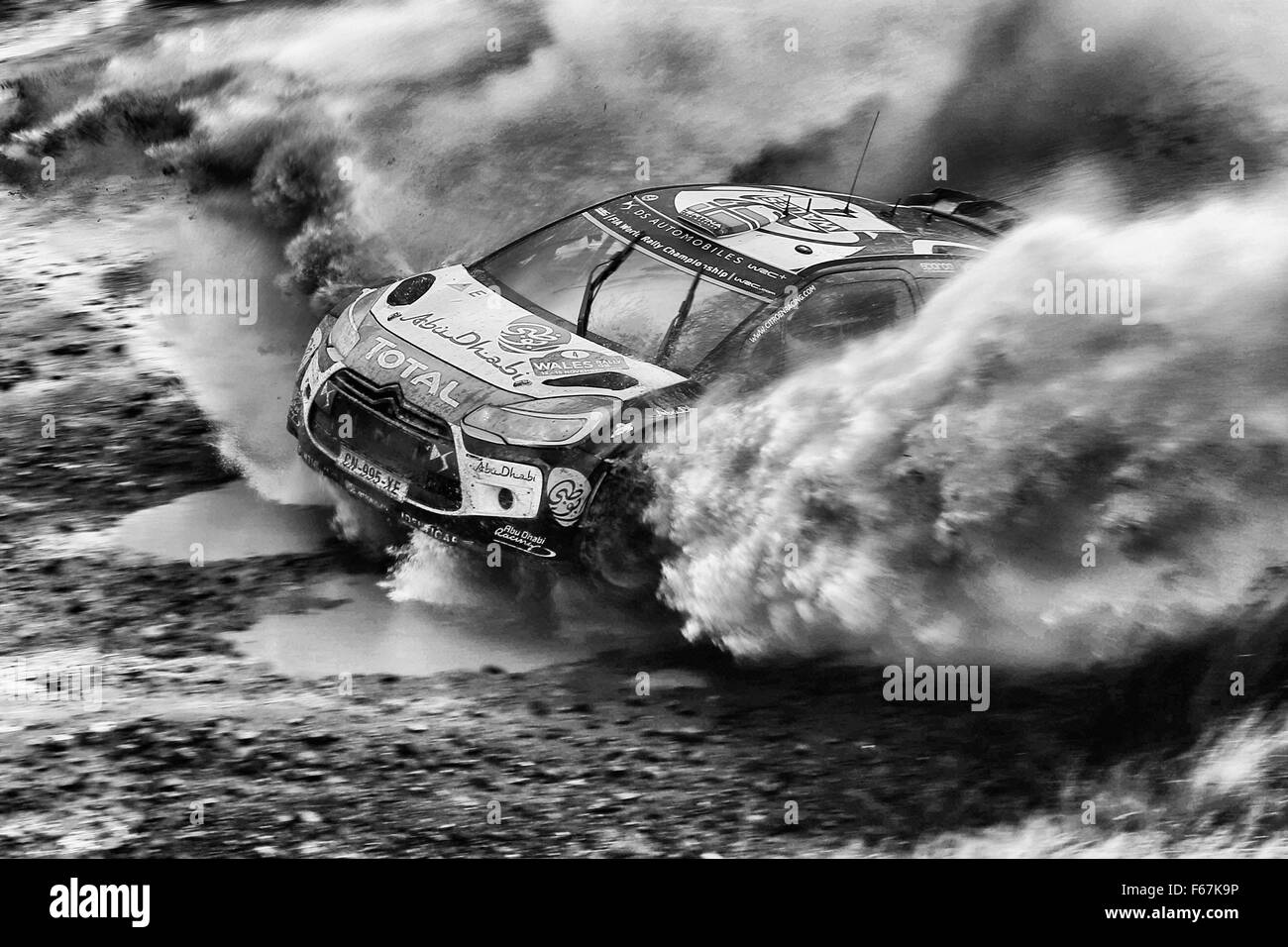 Hafren, Myherlin, Wales, UK. 13. November 2015. WRC Rally of Great Britain beginnt mit Stufen 1-6. Mads Östberg (NOR) und Jonas Andersson (SWE) - Citroen DS3 WRC Credit: Action Plus Sport Bilder/Alamy Live News Stockfoto