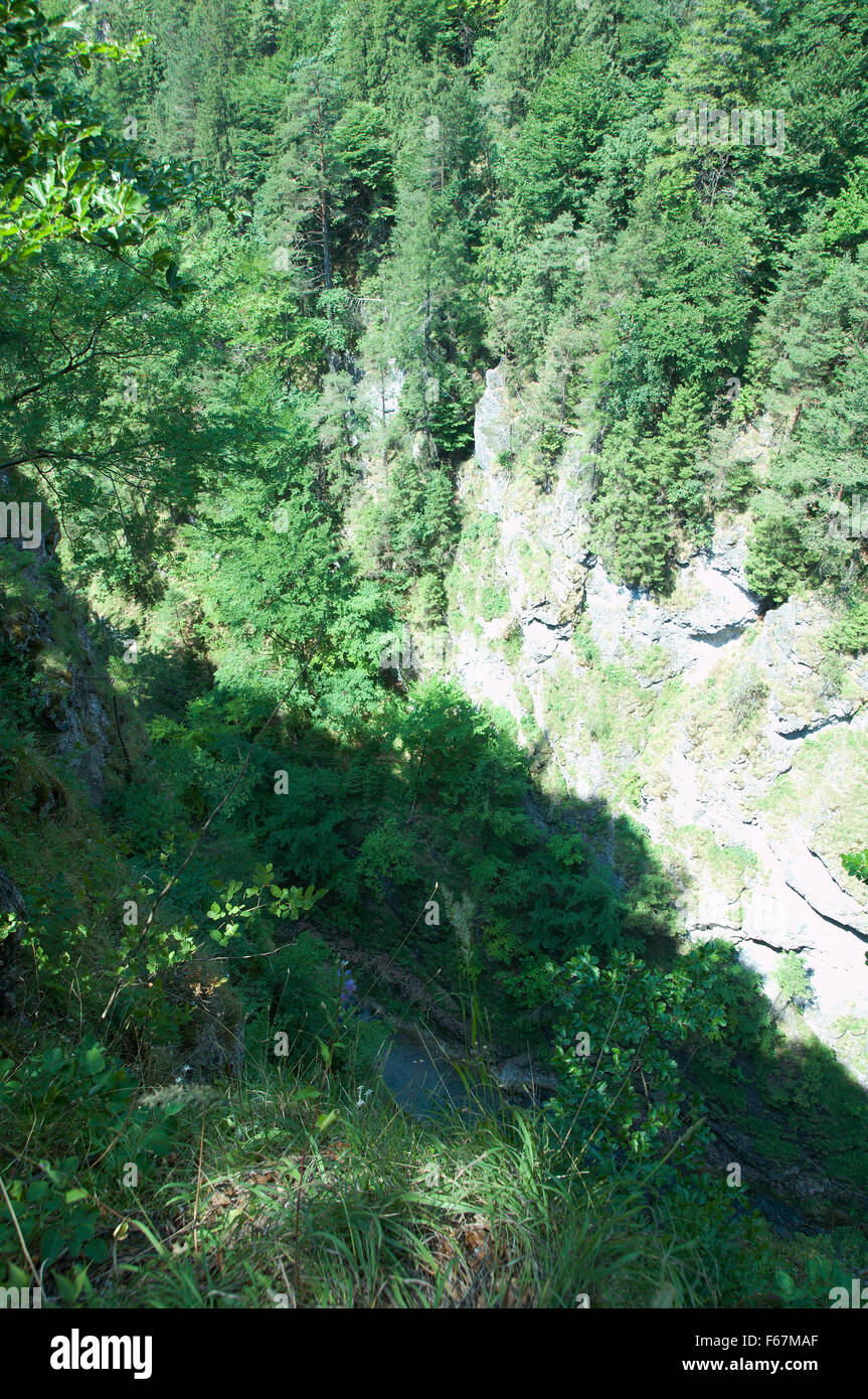 Canyon mit einem Bach im Tal Kvačianska Stockfoto