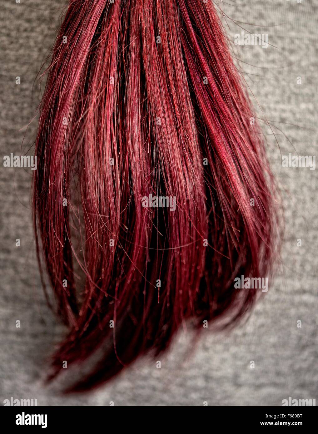 Ein Pferdeschwanz Haare auf der Rückseite des einen grauen Pullover. Stockfoto