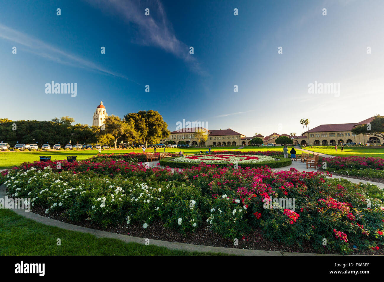 PALO ALTO, USA - 22. Oktober 2014: Stanford University und Park. Stanford University ist eine der weltweit führenden Forschungs- und Lehren Stockfoto