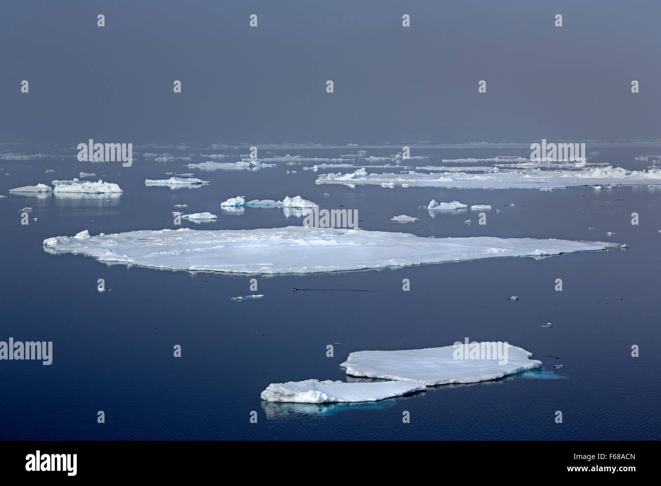 Eisschollen, Rand des Packeises, Nordpolarmeer, Spitzbergen Insel, Spitzbergen, Svalbard und Jan Mayen, Norwegen, Europa Stockfoto