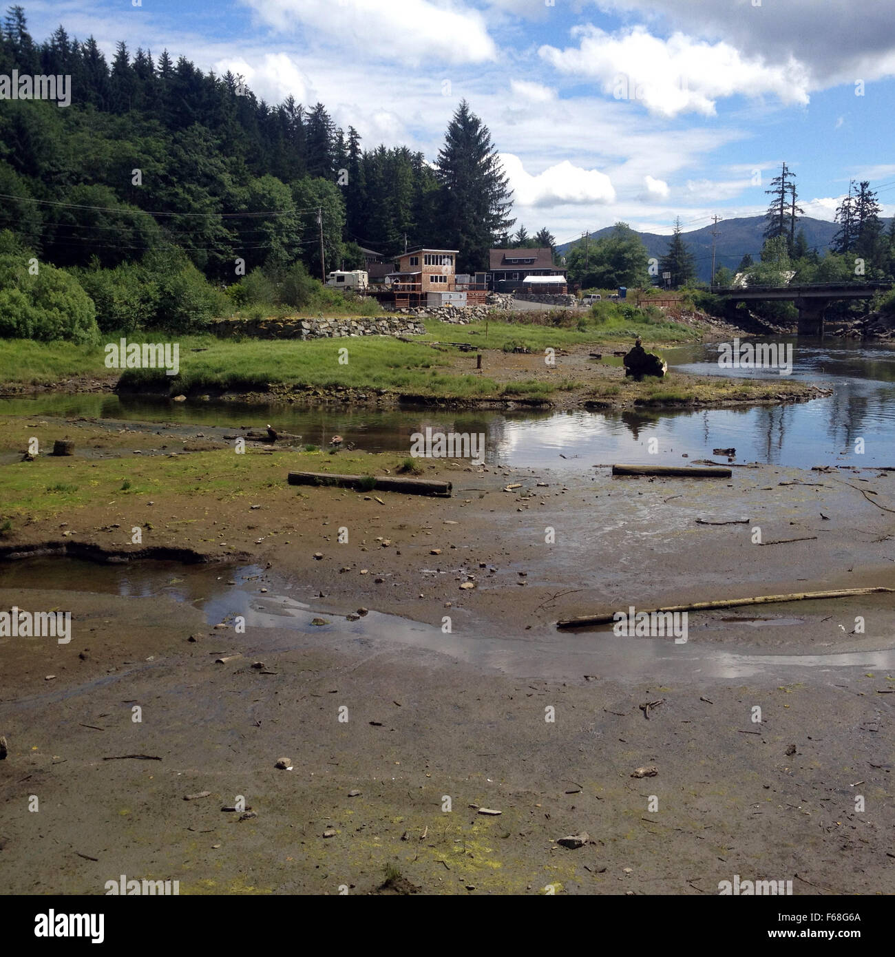 Szene von Salmon Hatchery und Creek in der Nähe von Ketchikan, Alaska. Stockfoto
