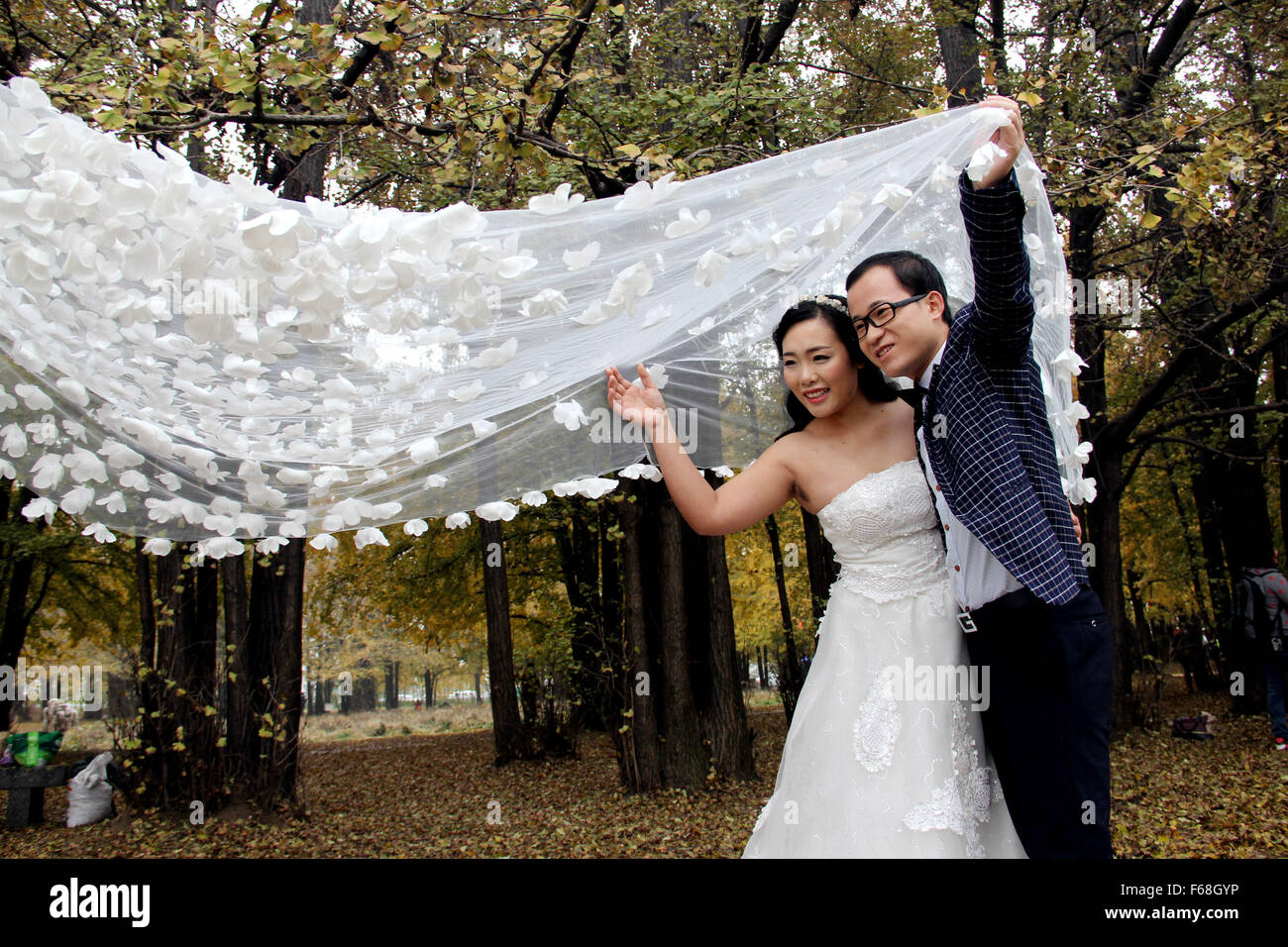 Linyi, Shandong Provinz. 14. November 2015. Eine paar Pose für Hochzeitsfotos in einem Park voller gelber Ginkgo Blätter in Linyi, Ost-China Shandong Provinz, 14. November 2015. © Zhang Yanxin/Xinhua/Alamy Live-Nachrichten Stockfoto