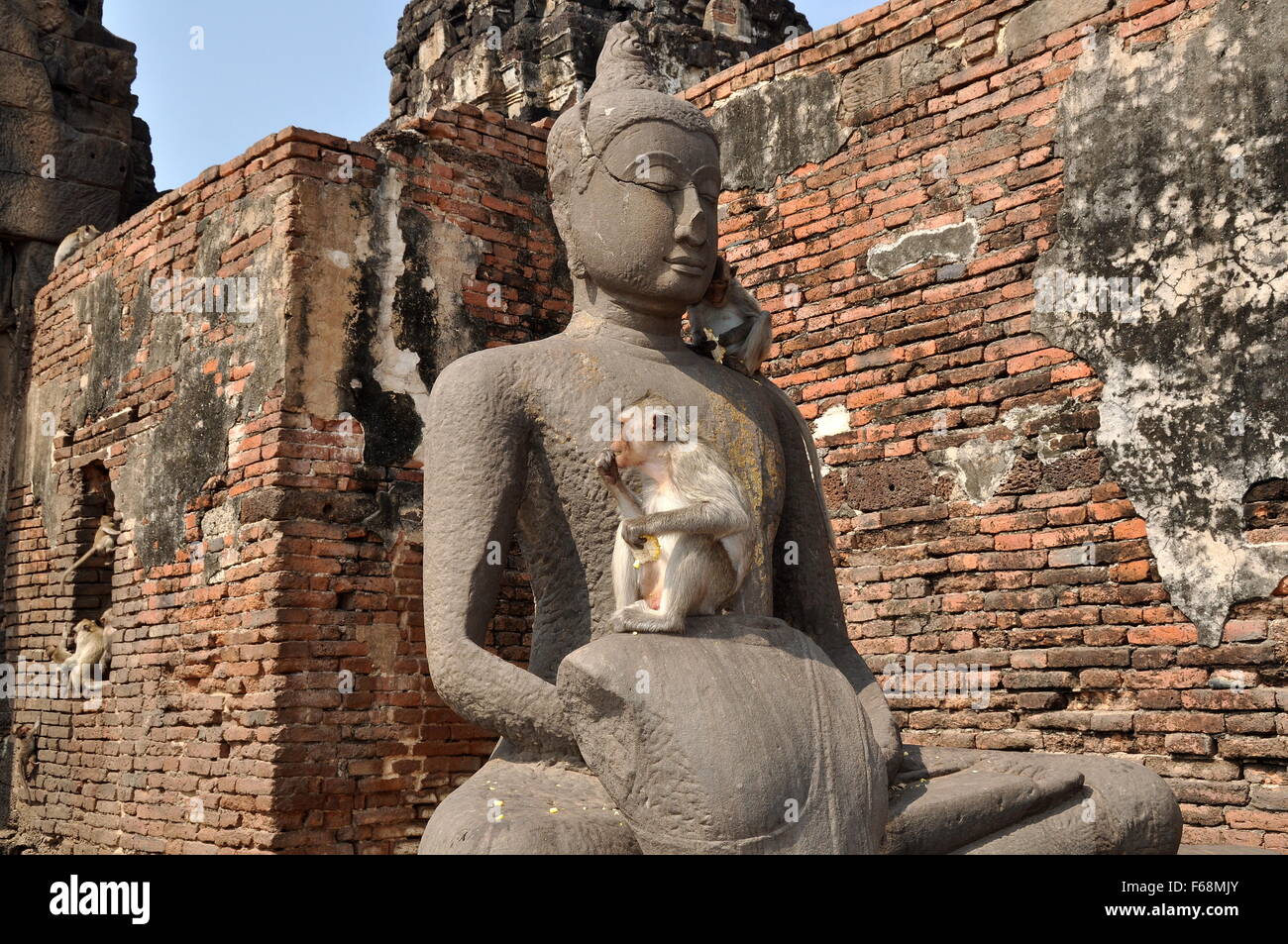 Lopburi, Thailand: Affen Sie Essen Mais beim Sitzen auf eine Buddha-Statue in den Ruinen der historischen Khmer Wat Phra Prang Sam Yot Stockfoto