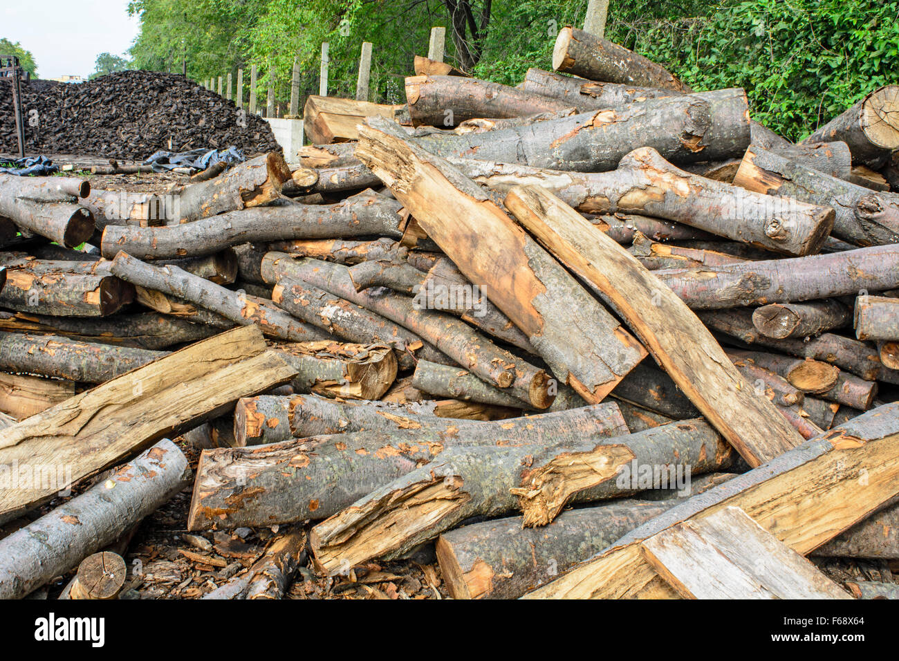 Holzschnitt auf dem Betriebshof des Protokolls und zum Verkauf bereit. Stockfoto