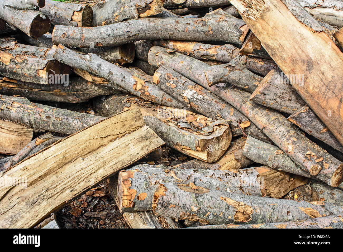 Holzschnitt auf dem Betriebshof des Protokolls und zum Verkauf bereit. Stockfoto