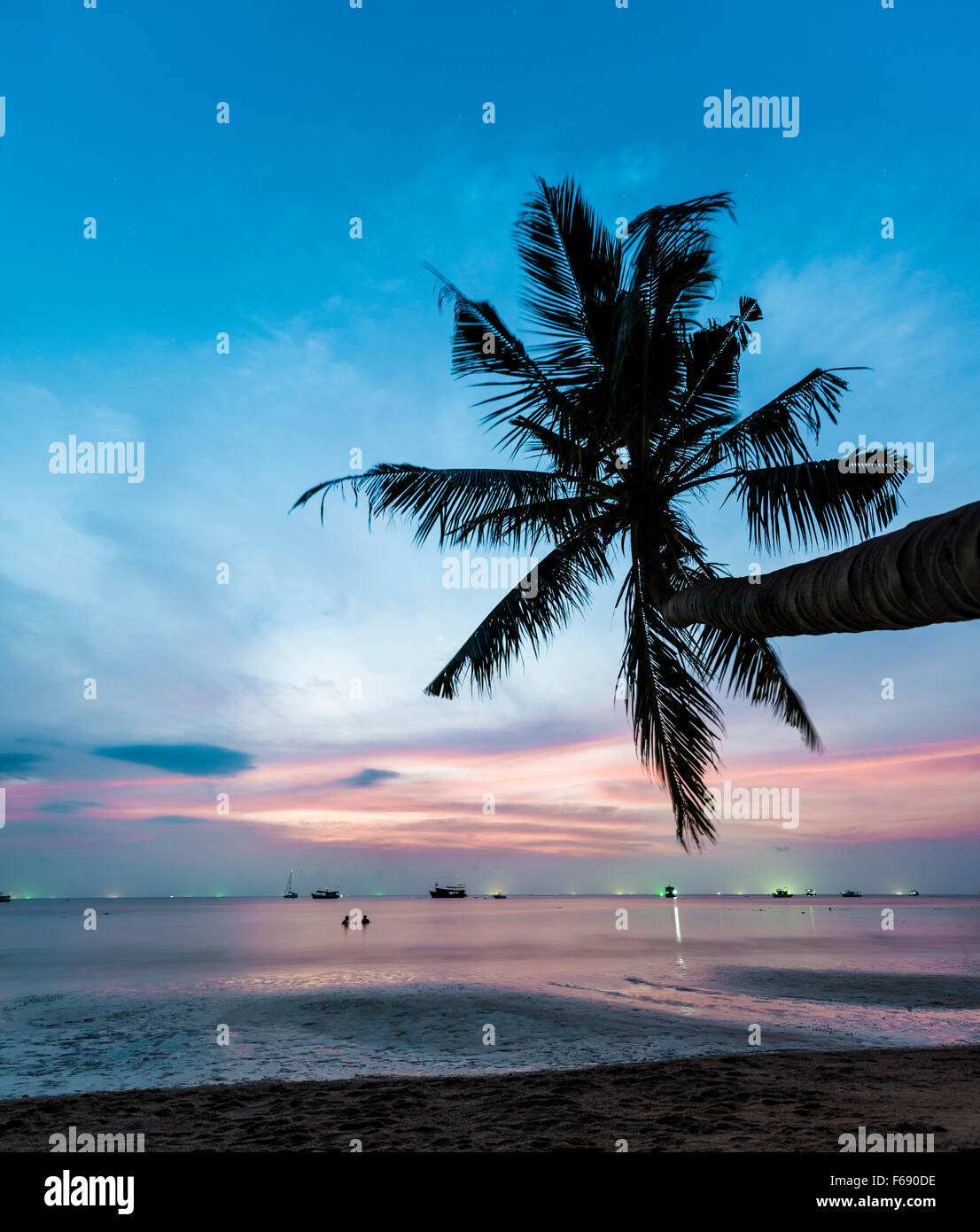 Palme bei Sonnenuntergang am Meer, Südchinesisches Meer, Golf von Thailand, Koh Tao, Thailand Stockfoto