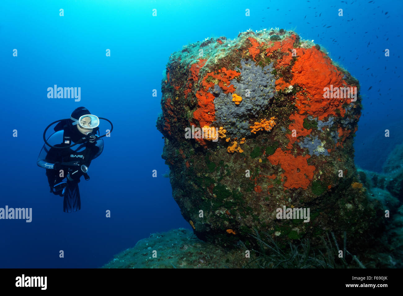 Taucher beobachten Rock mit verschiedenen Schwämmen (Porifera), Korfu, Ionische Inseln, Mittelmeer, Griechenland Stockfoto