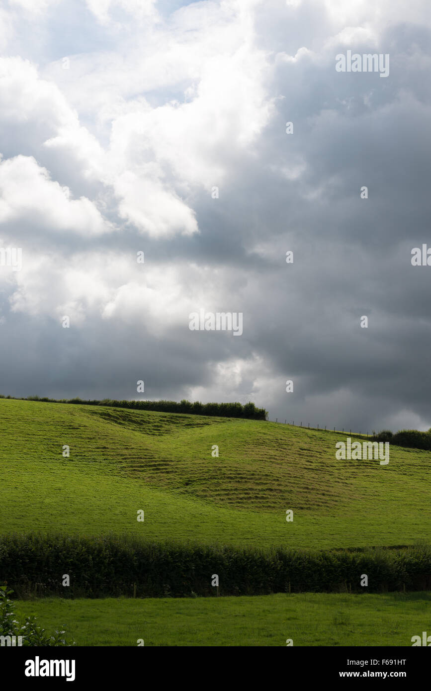 Vieh-Spuren im Bereich an der Seite des Hügels Higlighted von Wolke gefüllt Gewitterhimmel Stockfoto