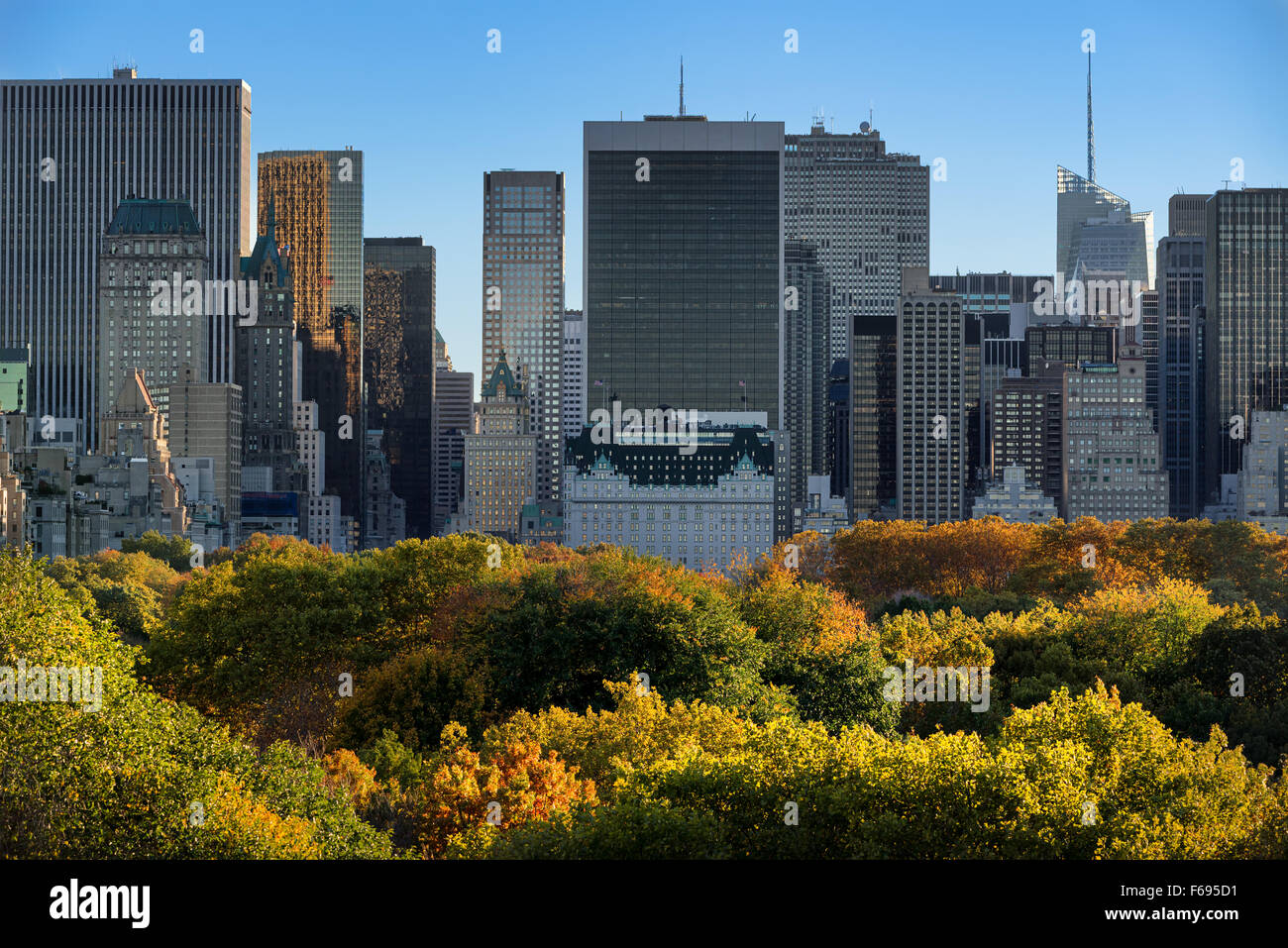Herbstlaub Central Park und Midtown Manhattan Wolkenkratzer von oben. New York City Stockfoto