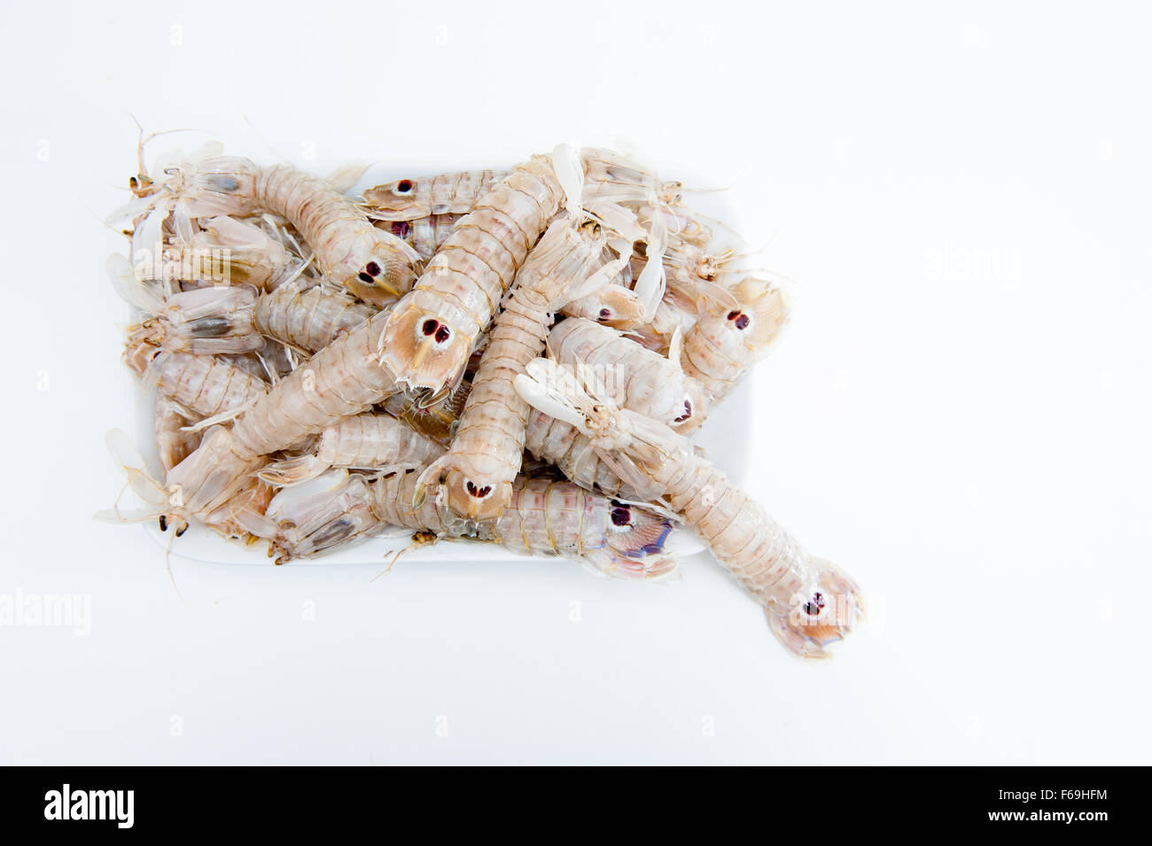 Gruppe von rohen frischen Fangschreckenkrebse auf weißem Hintergrund Stockfoto