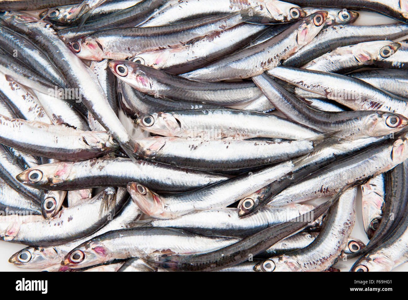 Textur der viele frische rohe Sardellen ruht auf weißem Hintergrund Stockfoto