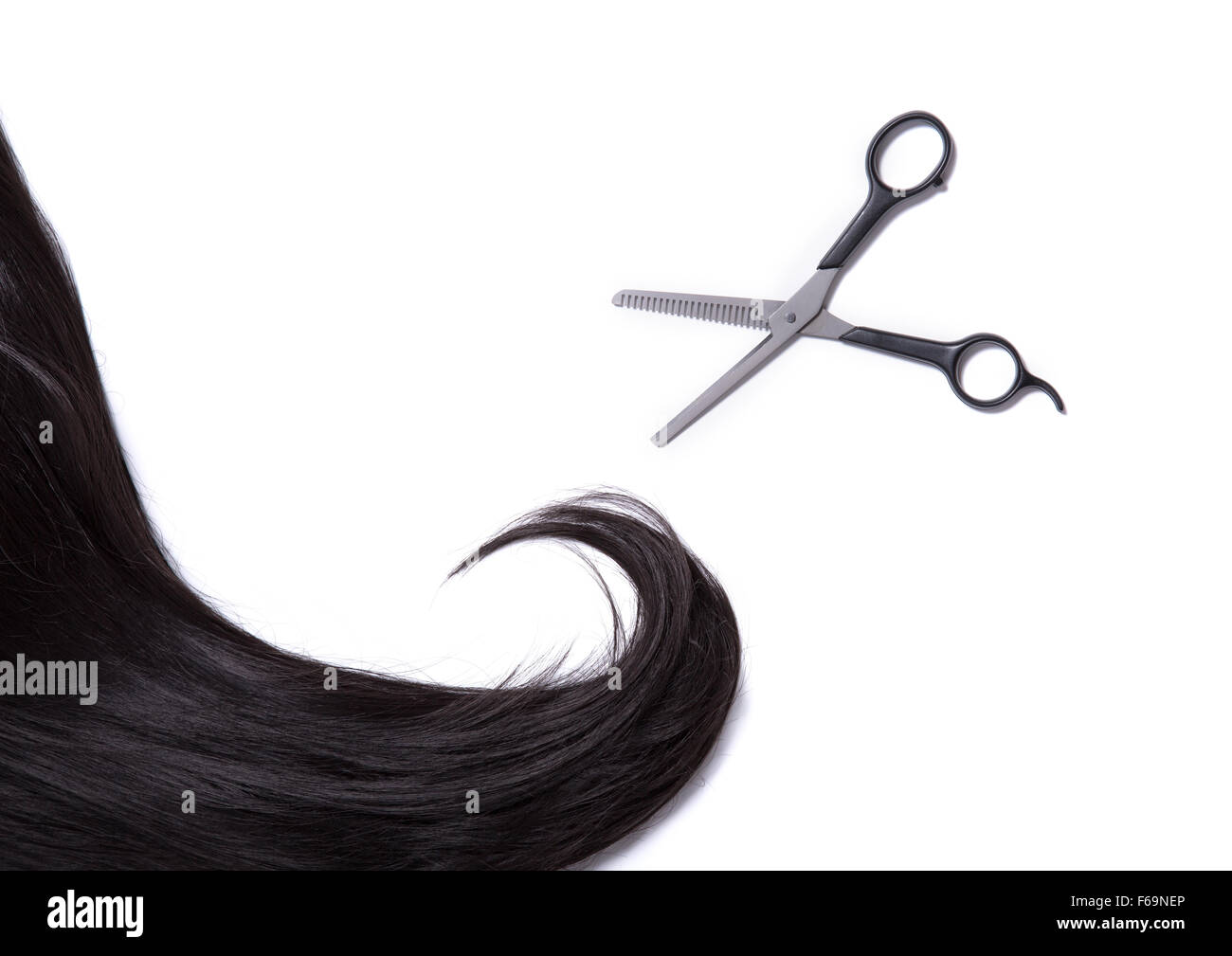 Langen schwarzen glänzenden Haarsträhne mit professionellen Scheren, isoliert auf weißem Hintergrund Stockfoto