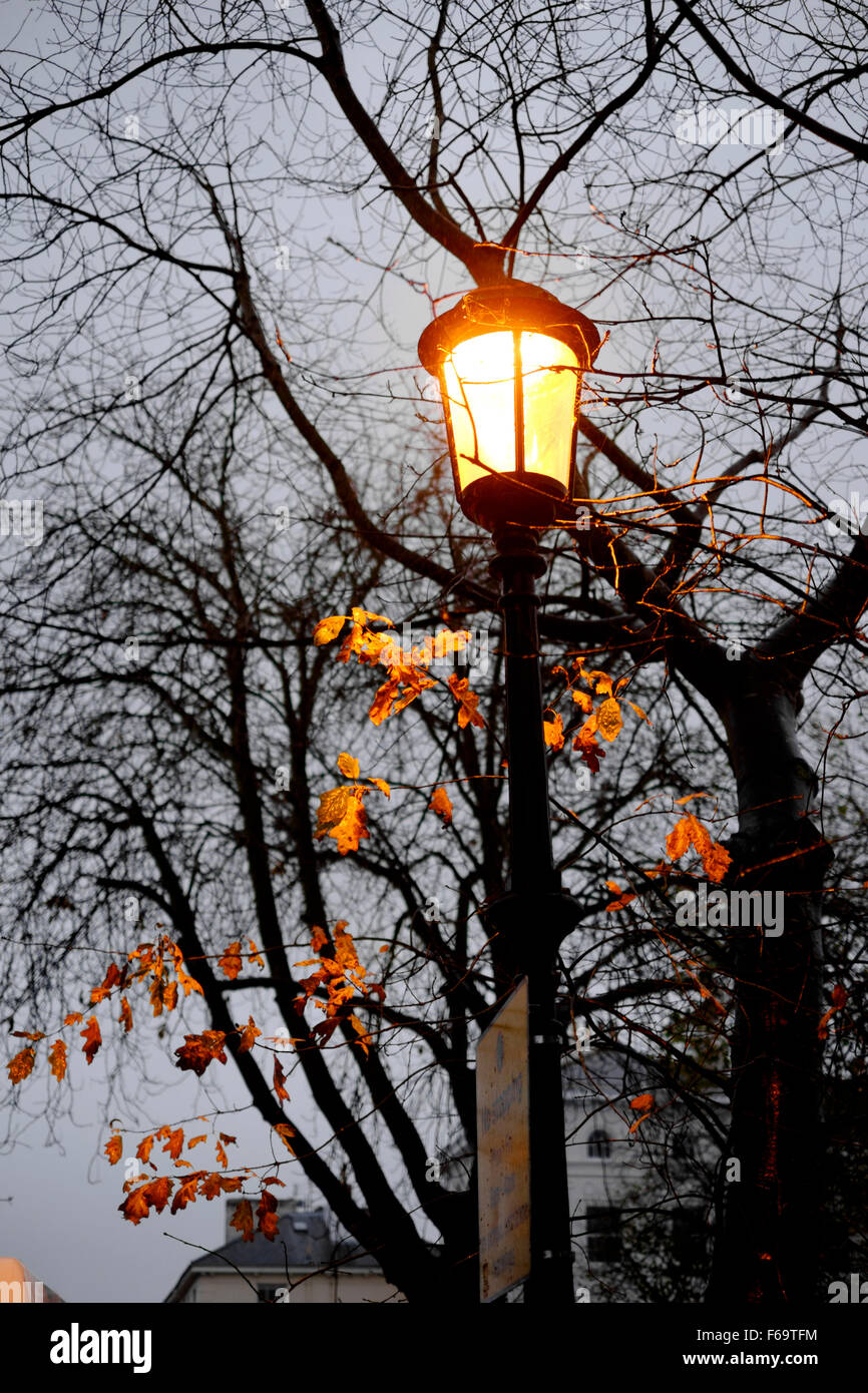 letzten Herbst Blätter Klammern sich an einen Baum vor dem England-Großbritannien Stockfoto