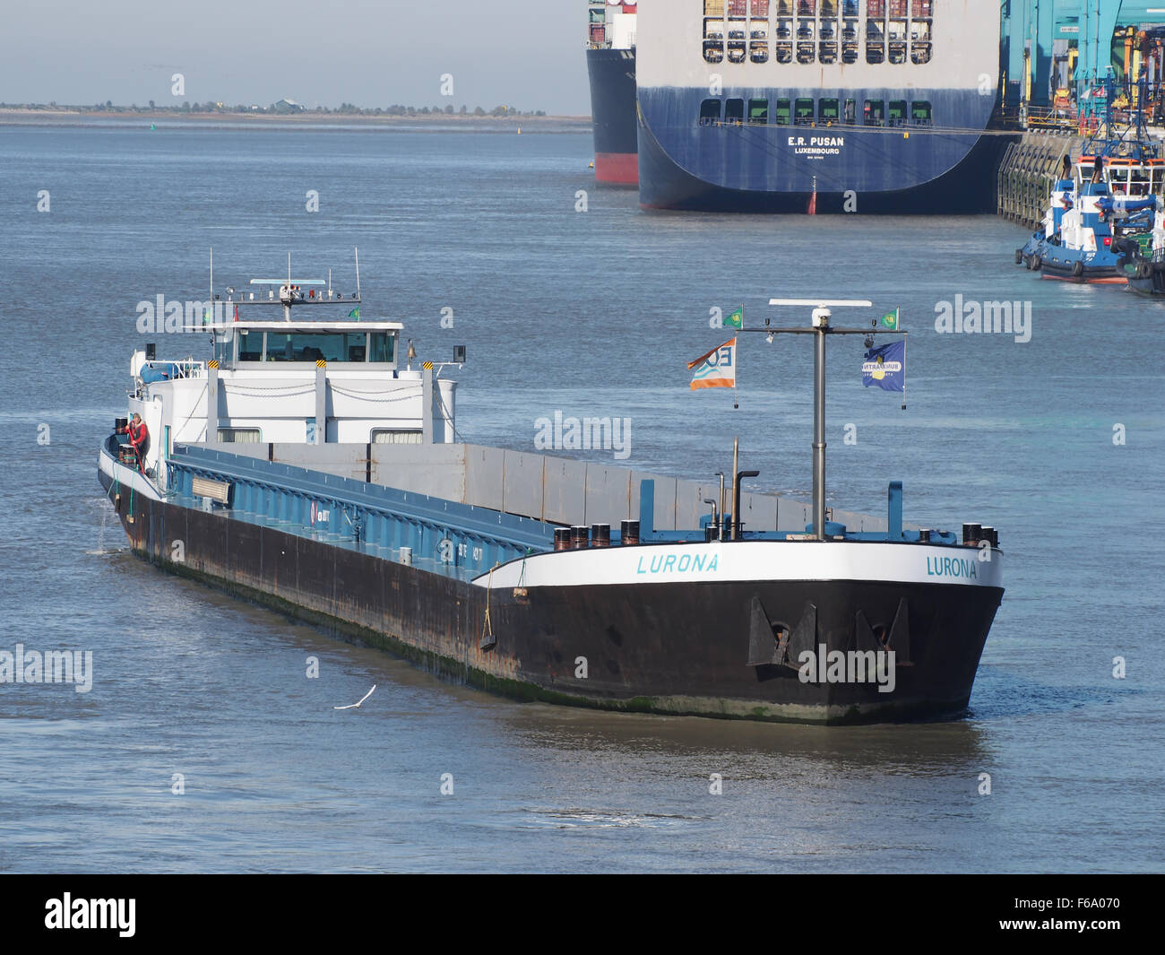 Lurona (Schiff, 1995), ENI 02207080, Hafen von Antwerpen pic2 Stockfoto