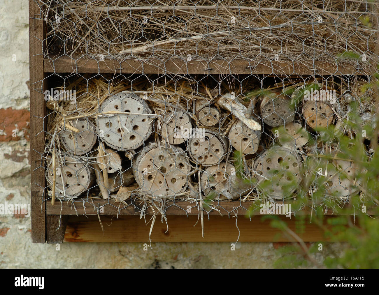 Insektenhotel auf eine Mauer Stockfoto