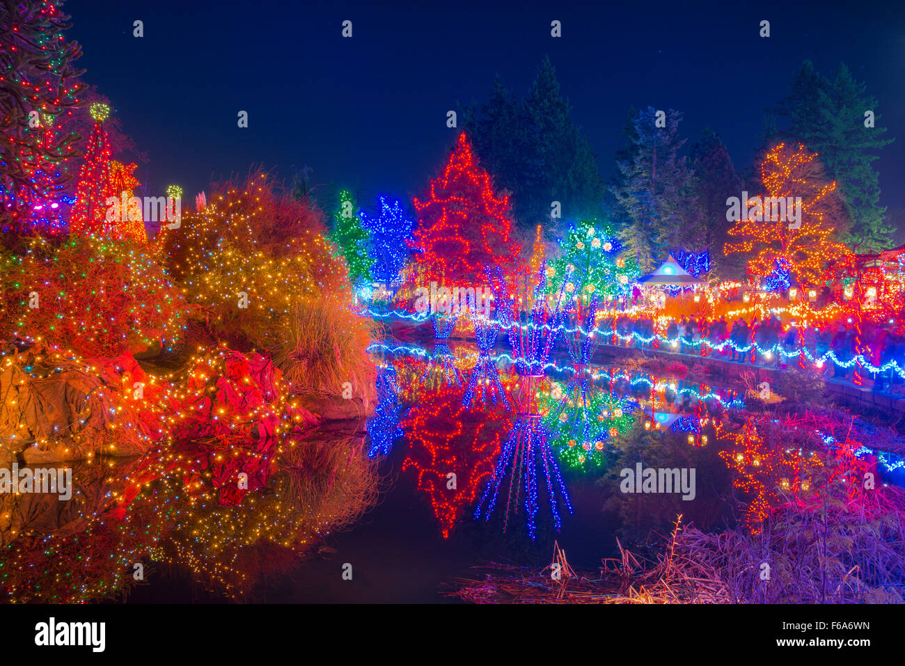 Festival der Lichter, VanDusen Botanical Garden, Vancouver, Britisch-Kolumbien, Kanada Stockfoto