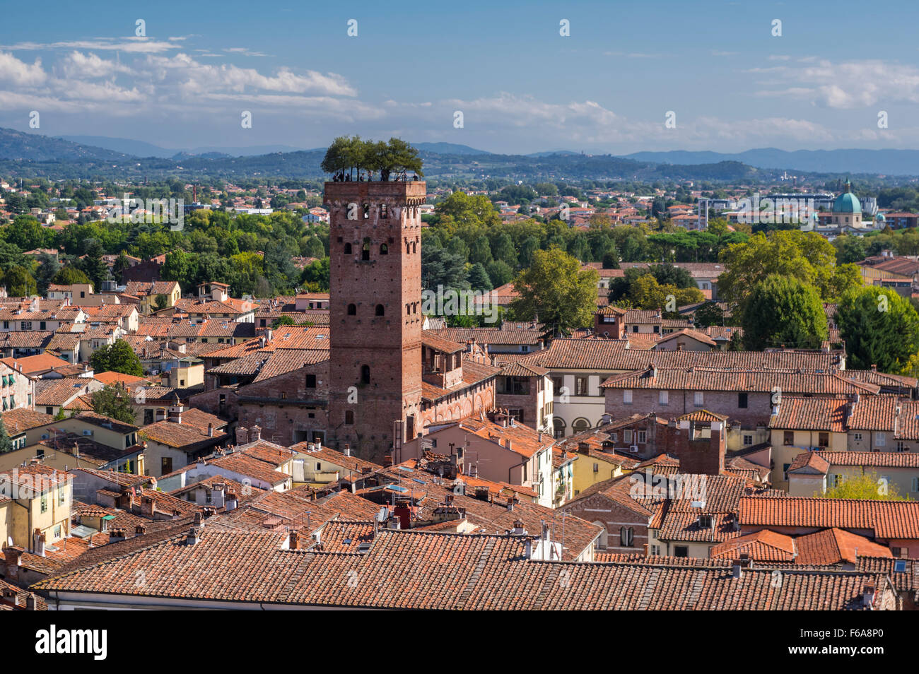 Blick über die Stadt Lucca, Toskana, Italien. Auffälligste Merkmal ist der mittelalterliche Torre Guinigi Turm mit Bäumen auf seiner Spitze. Stockfoto