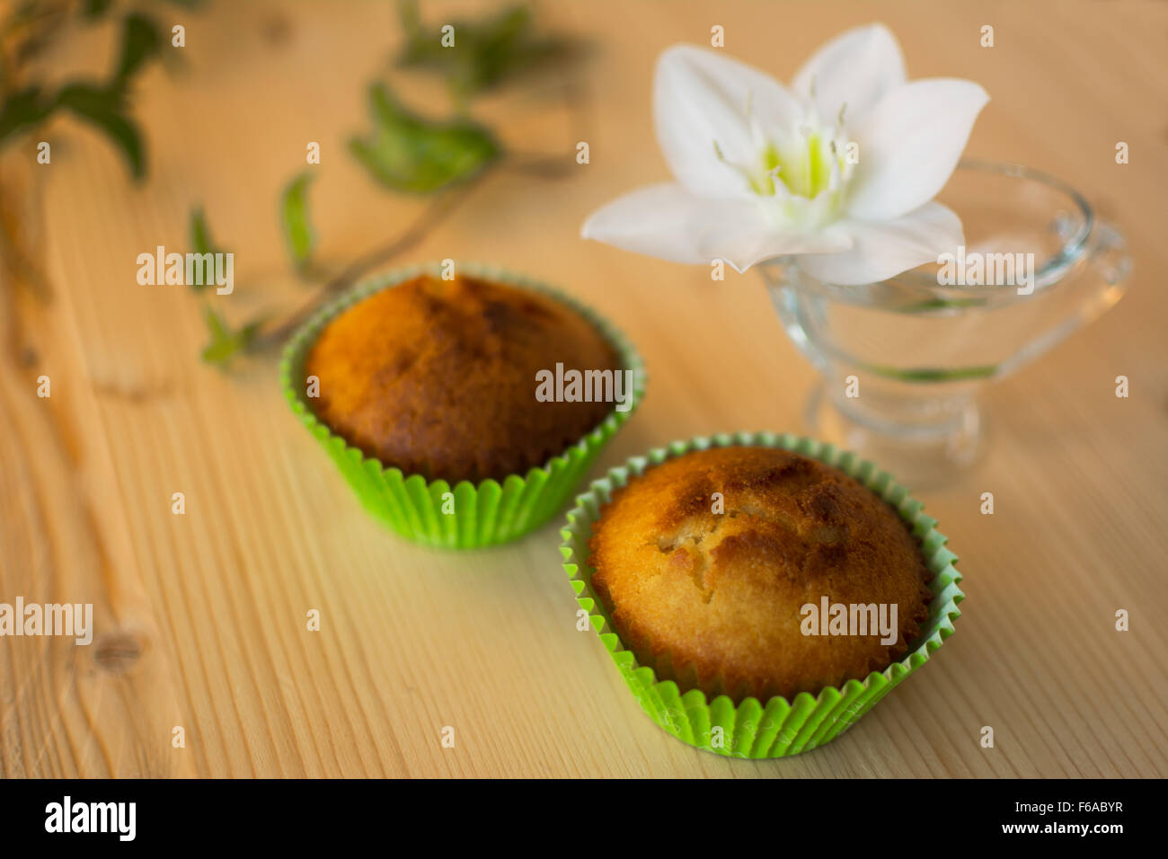 Muffins in der Grünbuch Cupcake-Halter, weiße Blüte im Glas und Blätter horizontal, selektiven Fokus Stockfoto