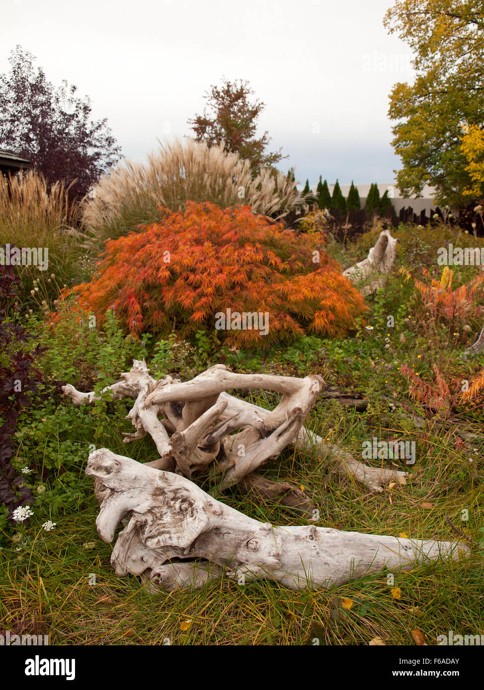 Holzstücke Stockfoto