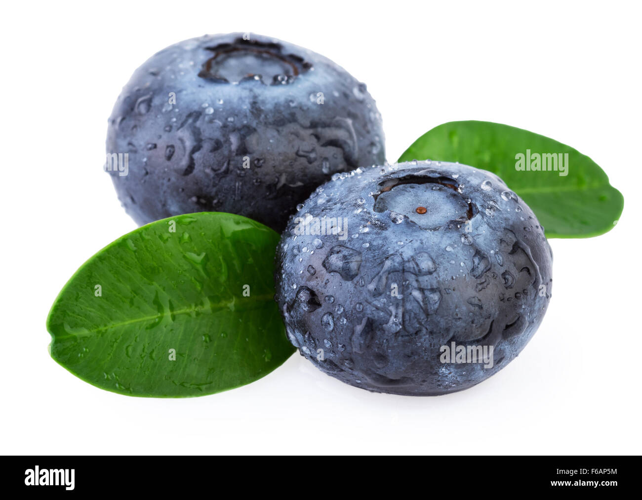 Heidelbeeren-Makro-Nahaufnahme Stockfoto