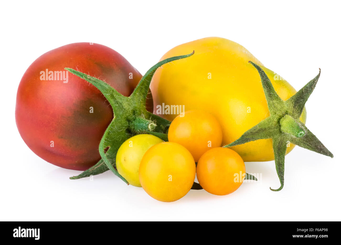 Tomaten rot, gelb Stockfoto