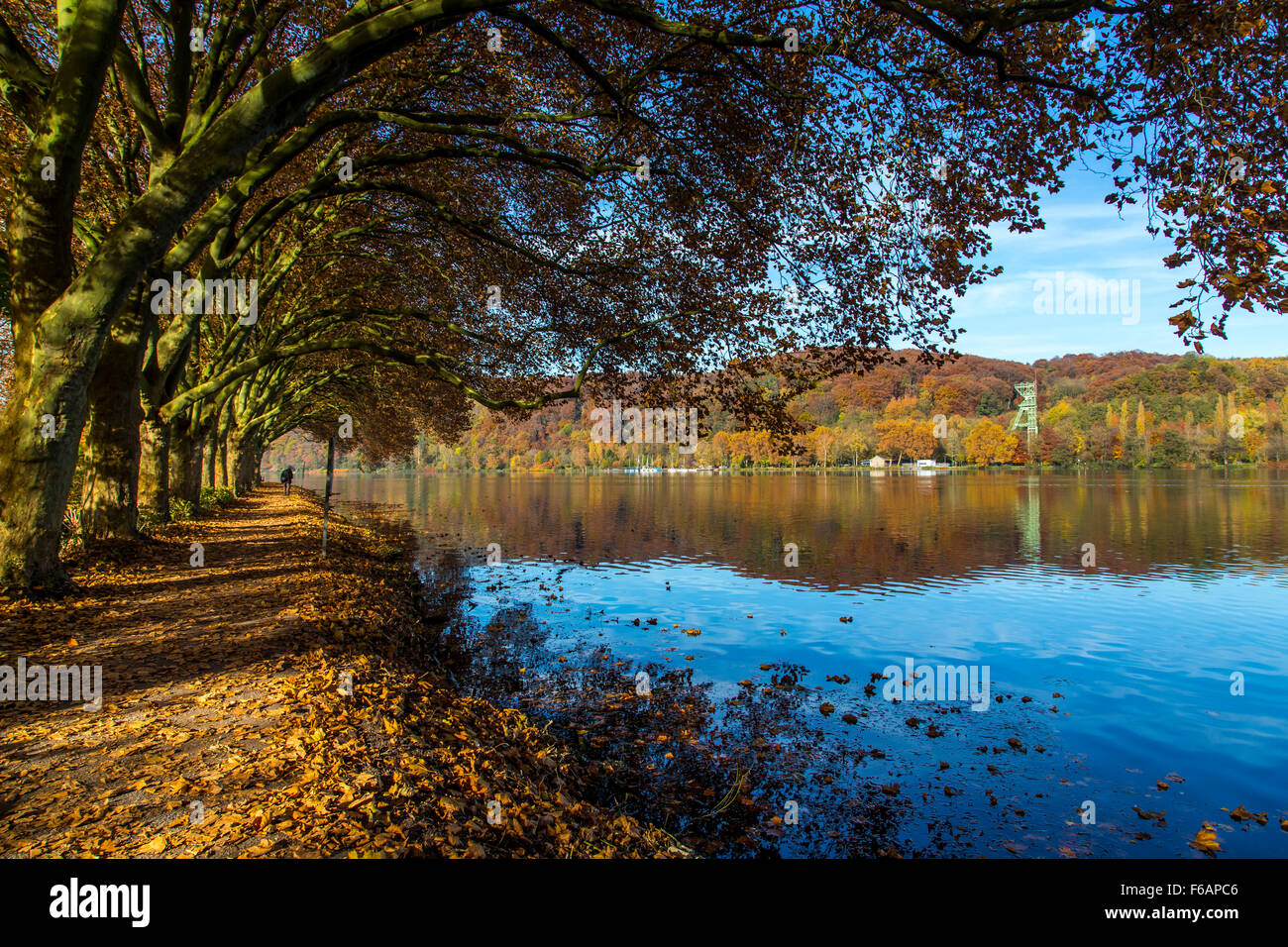 Baldeneysee See in Essen, Deutschland, Herbst, Bäume in herbstlichen